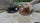 BUDGET FRIENDLY HATS - Kakadu Traders Australia