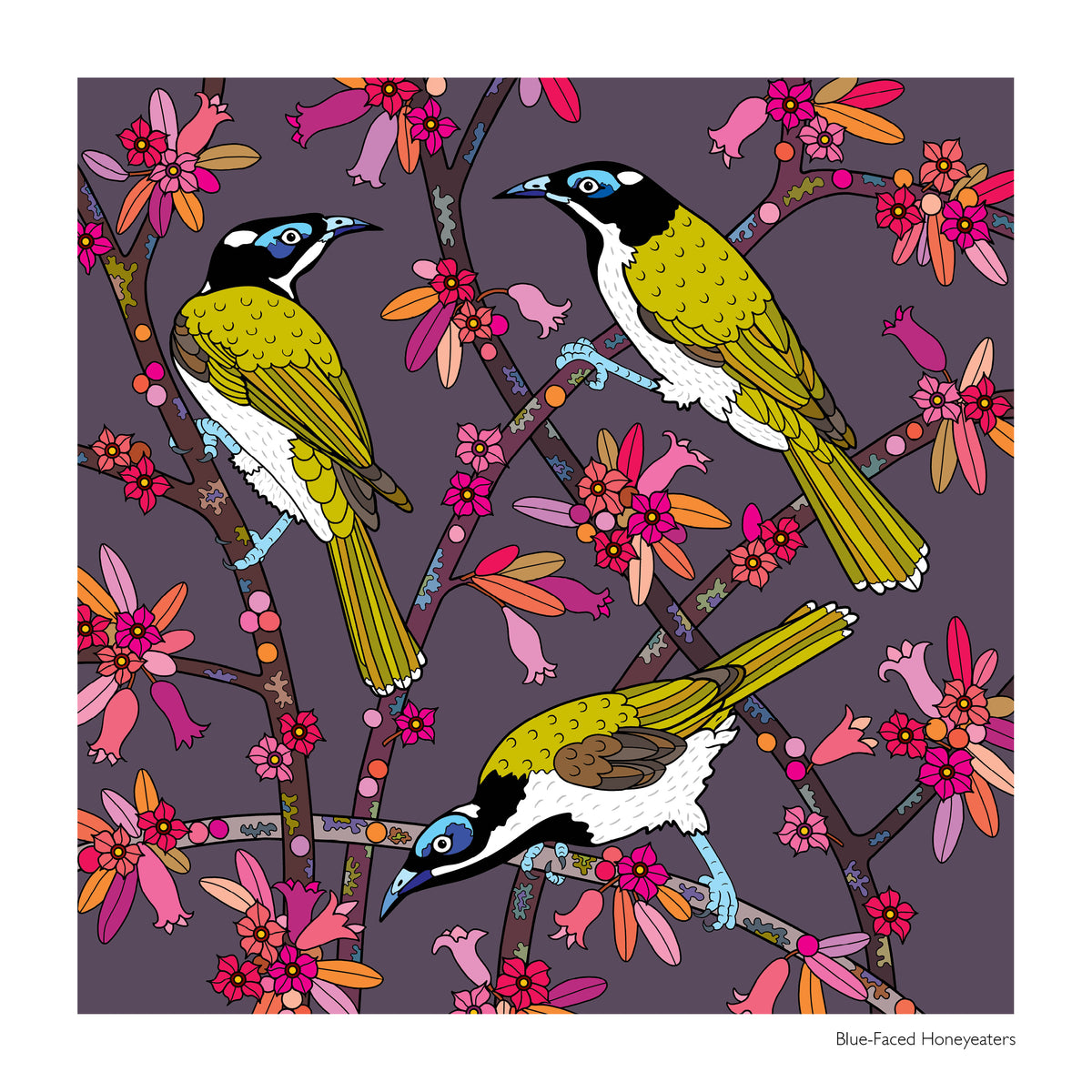2027 Native Birds and Plants Calendar