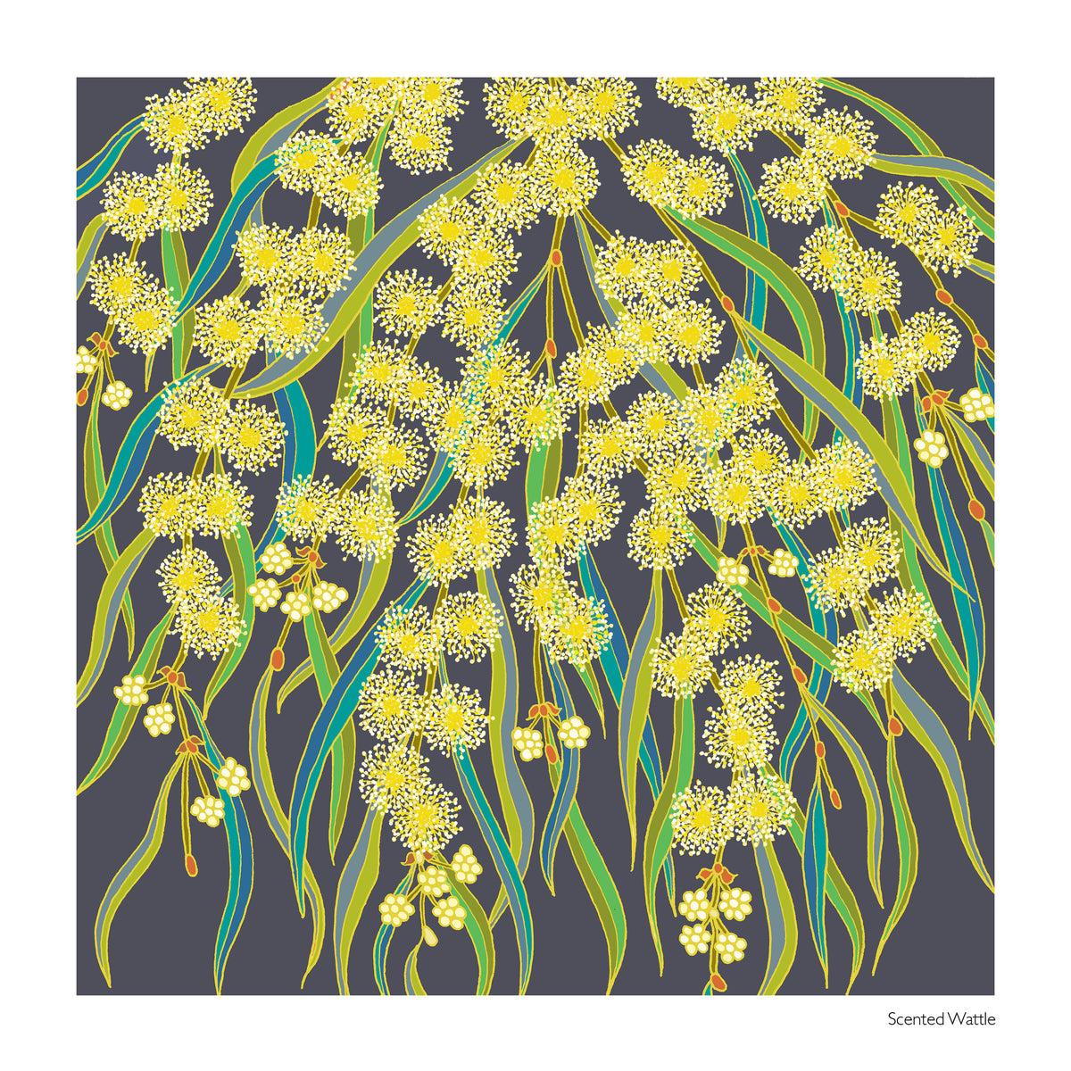2027 Native Birds and Plants Calendar
