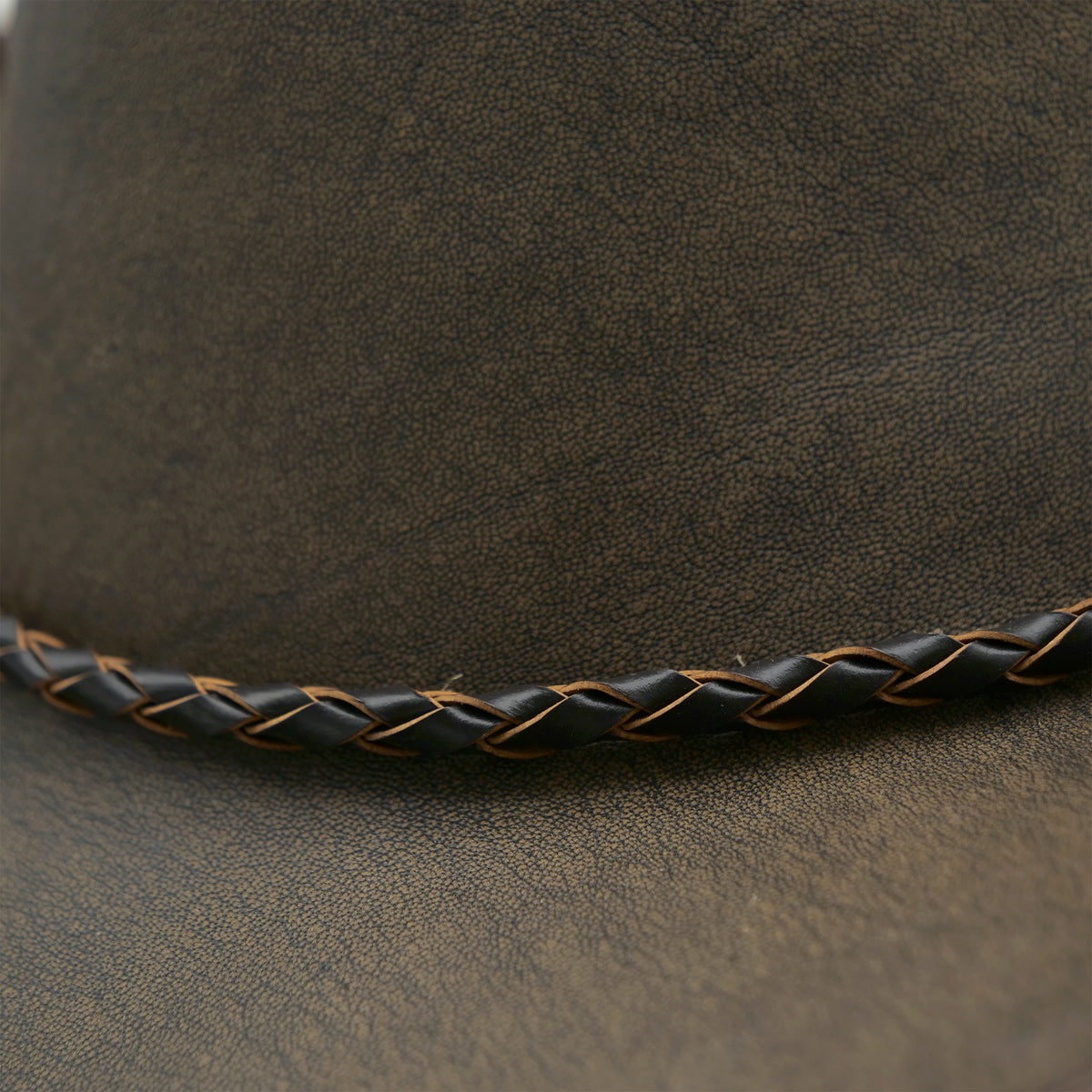 Ash Brown